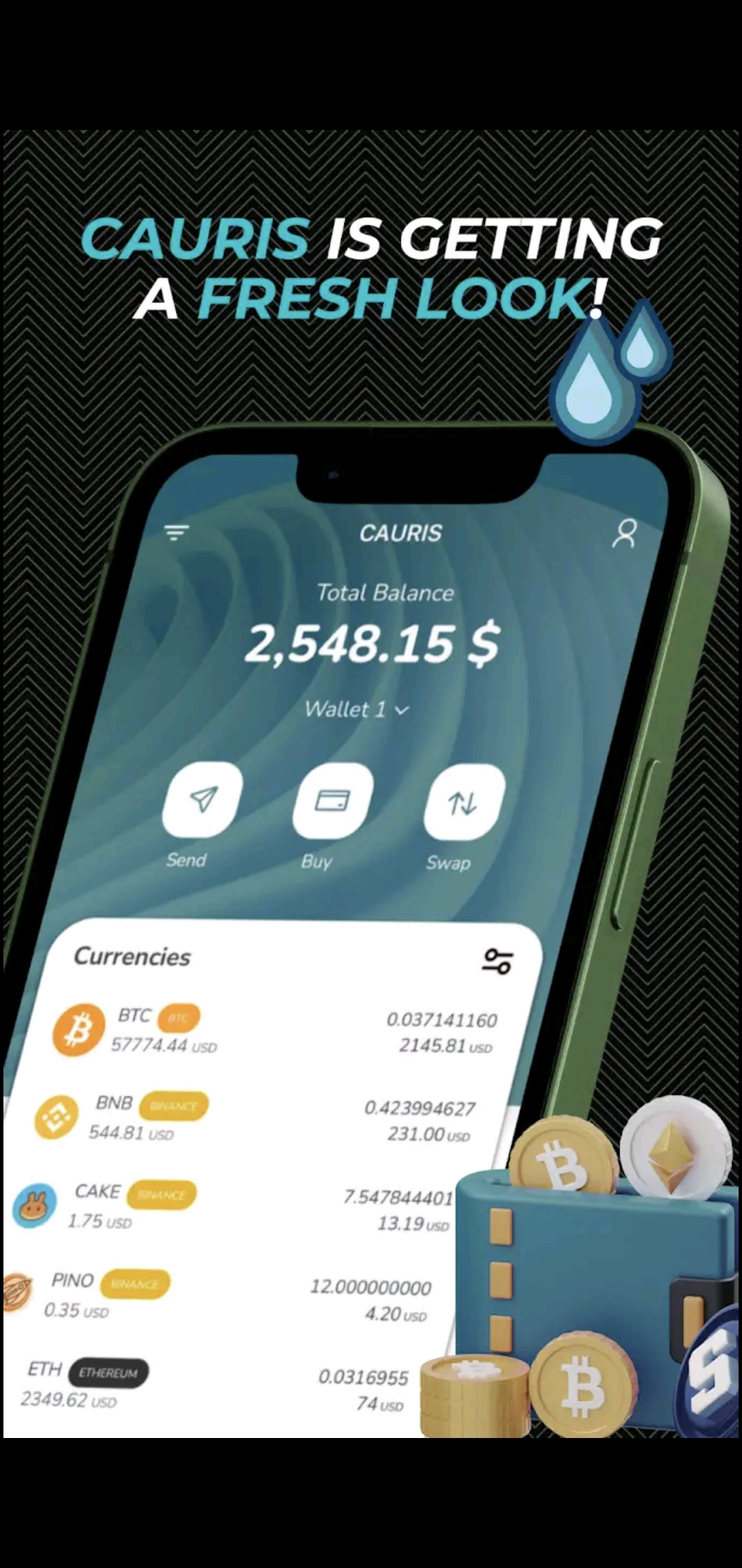 Interface du wallet Cauris – Gestion des cryptomonnaies en toute simplicité